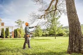 Best Pest Control for Lawns  in Steamboat Springs, CO